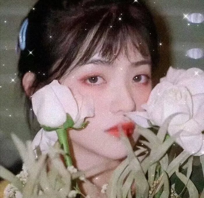 二十七个夜晚